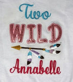 Two Wild Girls Birthday Shirt | 2nd Birthday Shirt | 2nd Birthday Wild Feathers Pink Pastel Shirt | Party Girls Two Wild Shirt