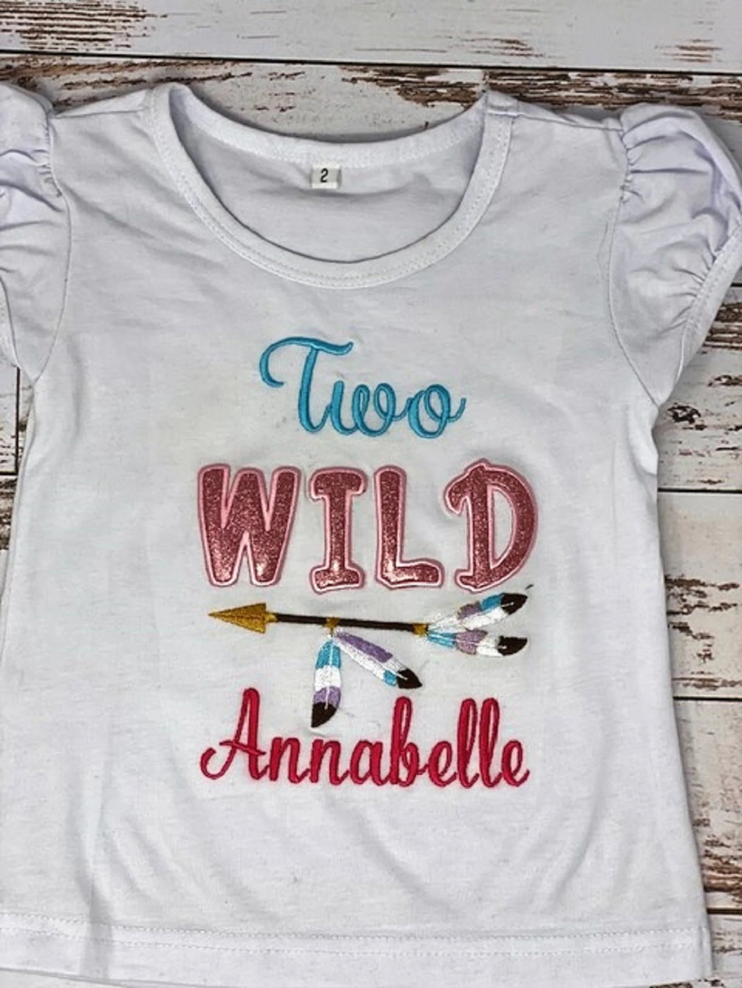 Two Wild Girls Birthday Shirt | 2nd Birthday Shirt | 2nd Birthday Wild Feathers Pink Pastel Shirt | Party Girls Two Wild Shirt