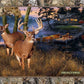 Realtree Deer 36" x 44", Deer Motorboat, Red Canoe, Red Truck, Log Cabin, Realtree Fabric Panel