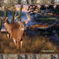 Realtree Deer 36" x 44", Deer Motorboat, Red Canoe, Red Truck, Log Cabin, Realtree Fabric Panel