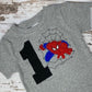 ANY Age, ANY Size, Boys Birthday Shirt, Grey Children's Shirt, Embroidered