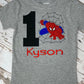 ANY Age, ANY Size, Boys Birthday Shirt, Grey Children's Shirt, Embroidered