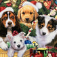 Puppy Surprise Fabric Panel 36" x 44", Christmas Puppies, Christmas Fabric Panel